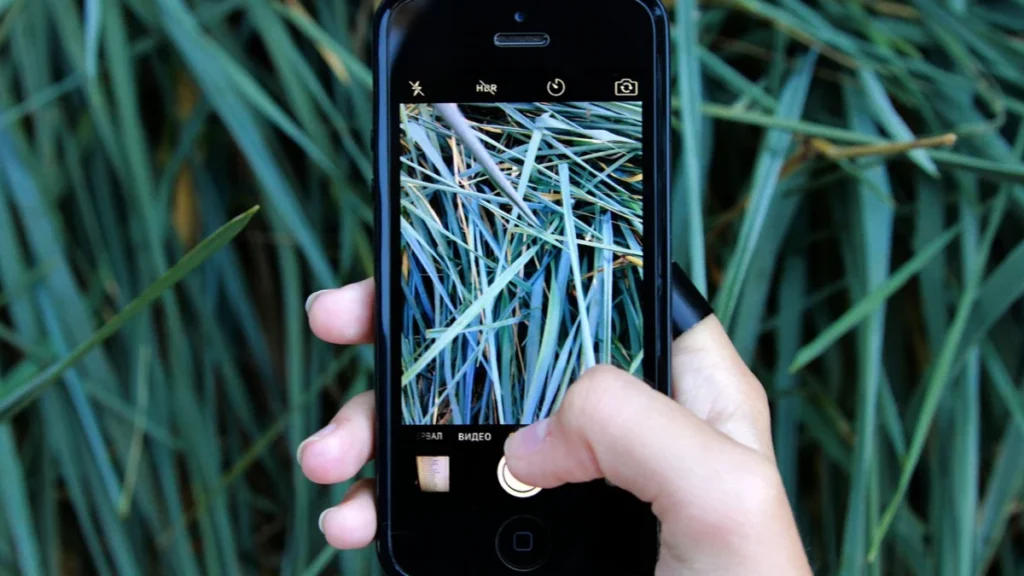 Foto ilustrativa: un celular con fotos en pantalla