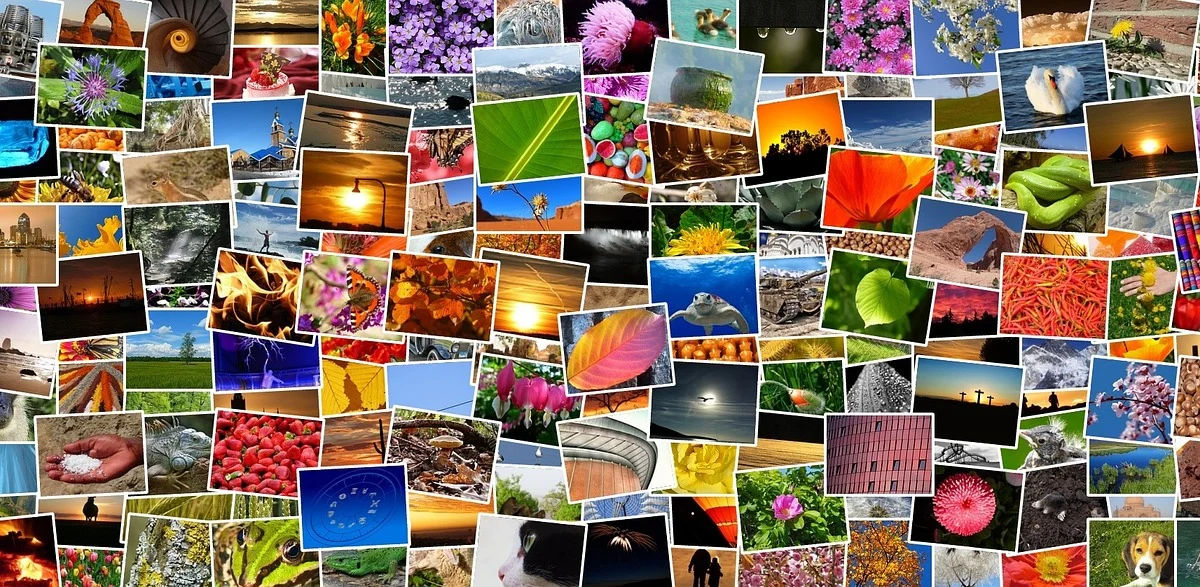 Cómo organizar las fotos en álbumes