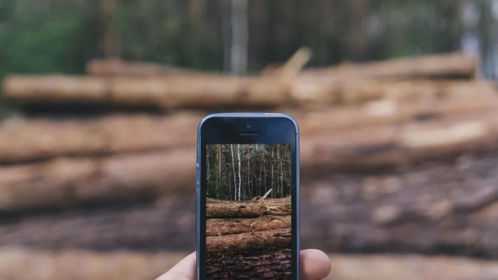 Foto ilustrativa: una persona fotografiando con un celular